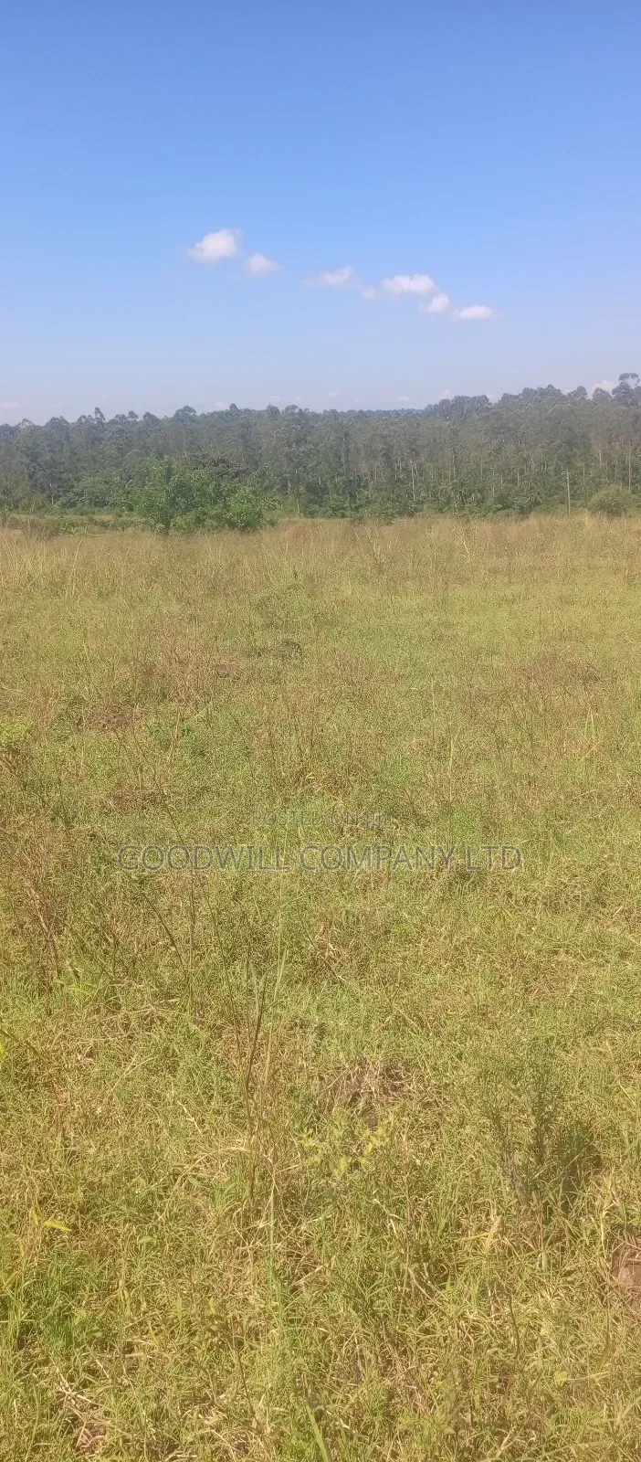100 Acres of Land in Kiwenda for Sale