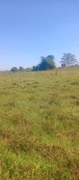 100 Acres of Land in Kiwenda for Sale