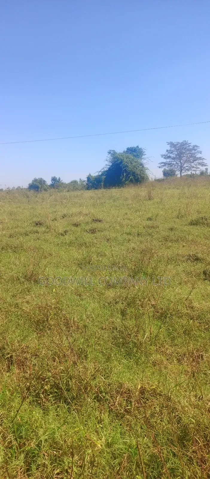 100 Acres of Land in Kiwenda for Sale