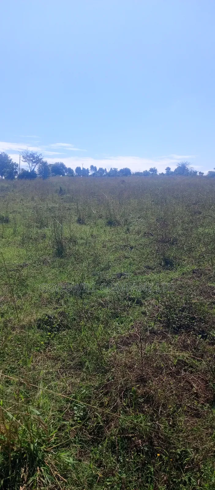 100 Acres of Land in Kiwenda for Sale