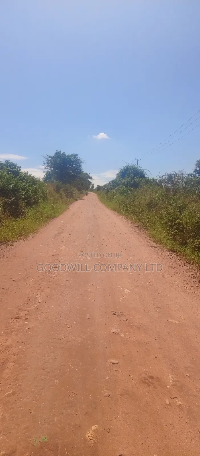 100 Acres of Land in Kiwenda for Sale