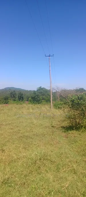 100 Acres of Land in Kiwenda for Sale