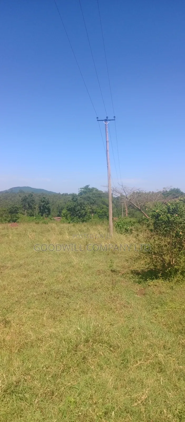 100 Acres of Land in Kiwenda for Sale