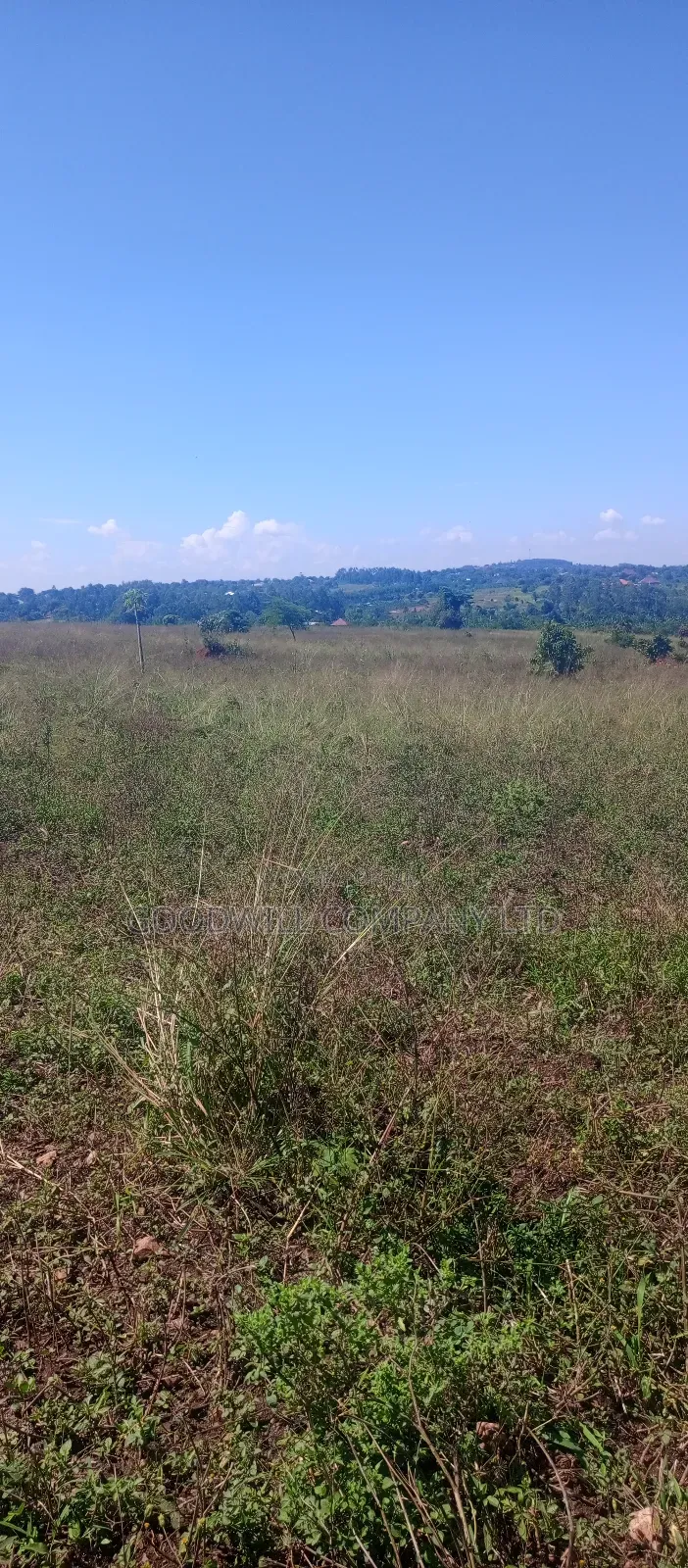 100 Acres of Land in Kiwenda for Sale