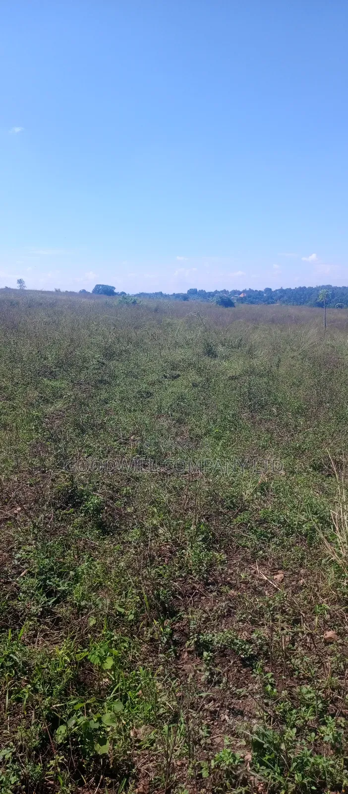 100 Acres of Land in Kiwenda for Sale