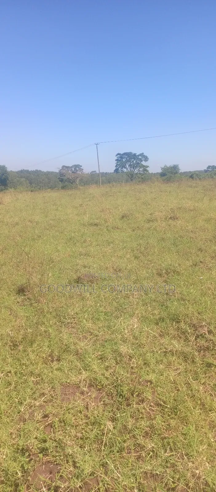 100 Acres of Land in Kiwenda for Sale