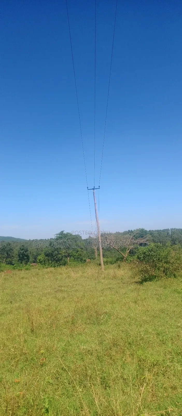 100 Acres of Land in Kiwenda for Sale