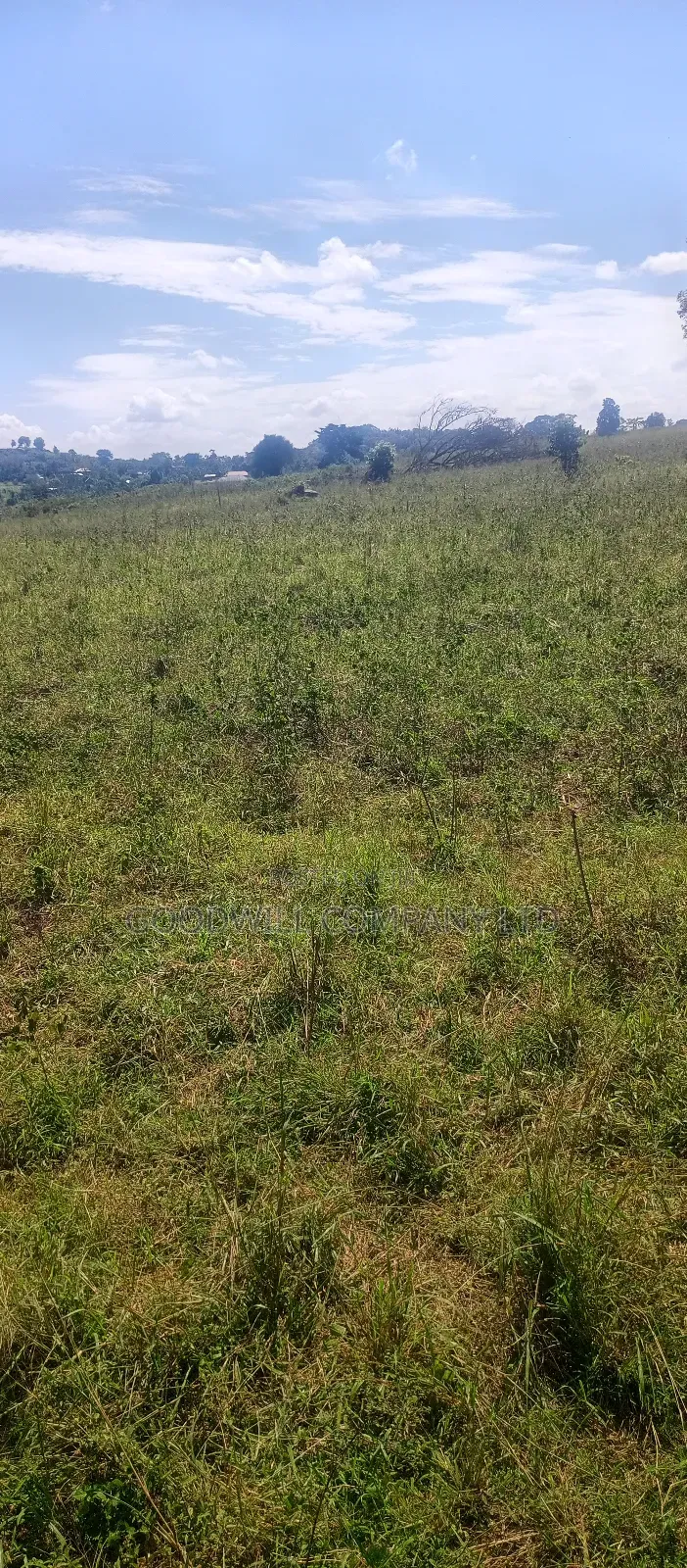 68 Acres of Land in Kiziri After Gayaza