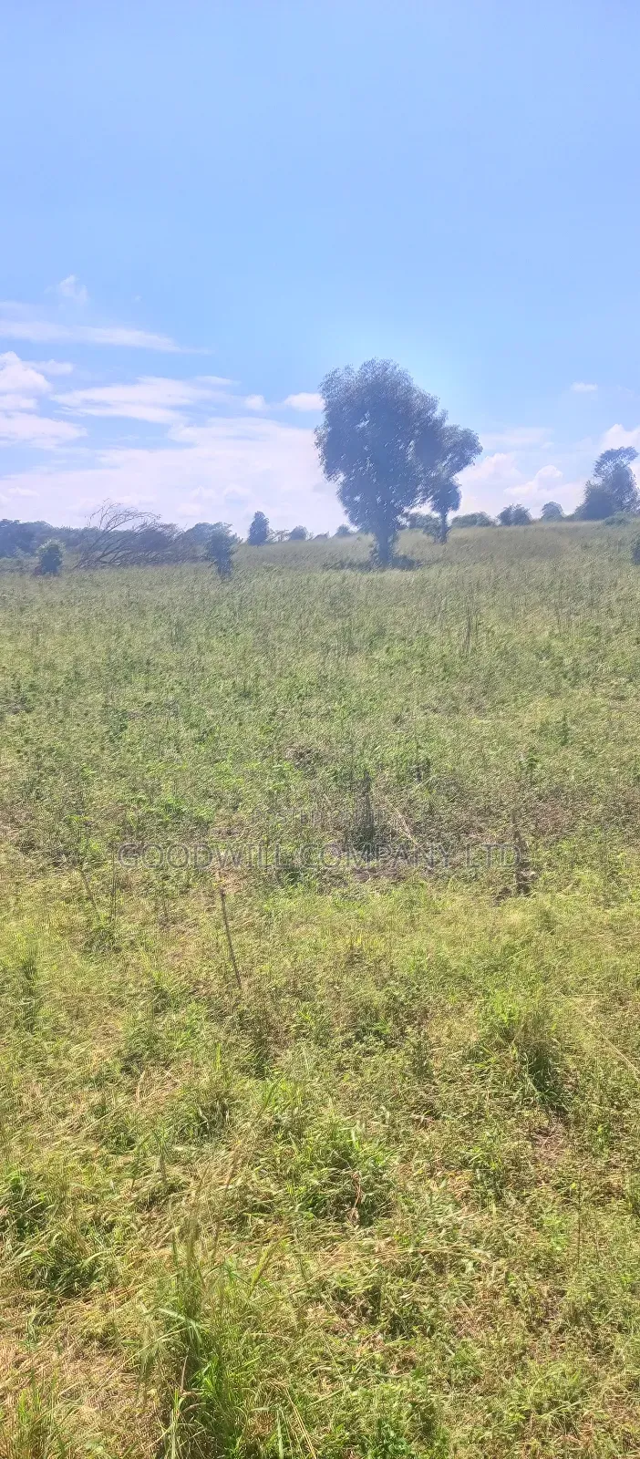 68 Acres of Land in Kiziri After Gayaza