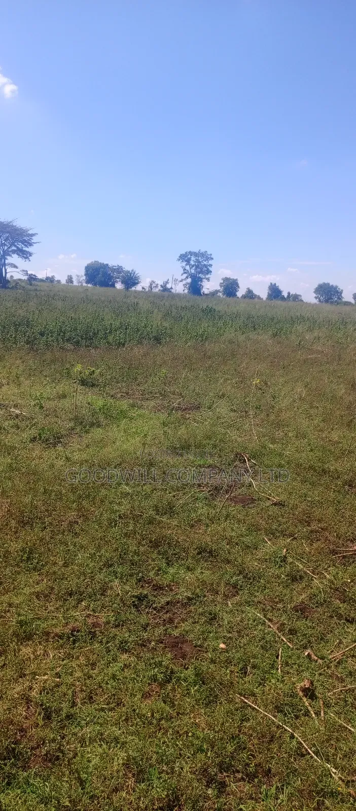 68 Acres of Land in Kiziri After Gayaza