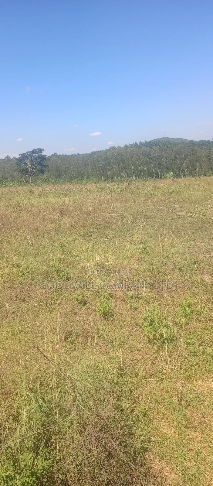 68 Acres of Land in Kiziri After Gayaza