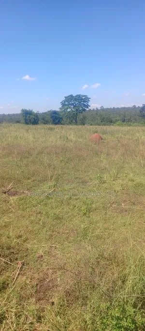 68 Acres of Land in Kiziri After Gayaza