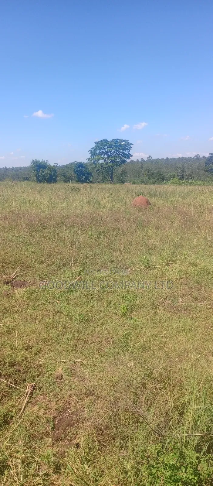 68 Acres of Land in Kiziri After Gayaza