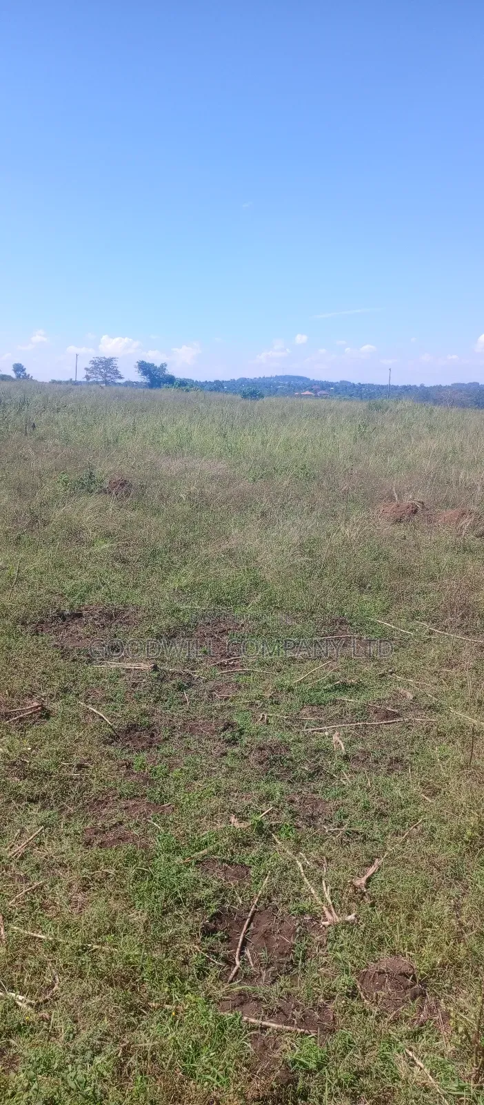 68 Acres of Land in Kiziri After Gayaza