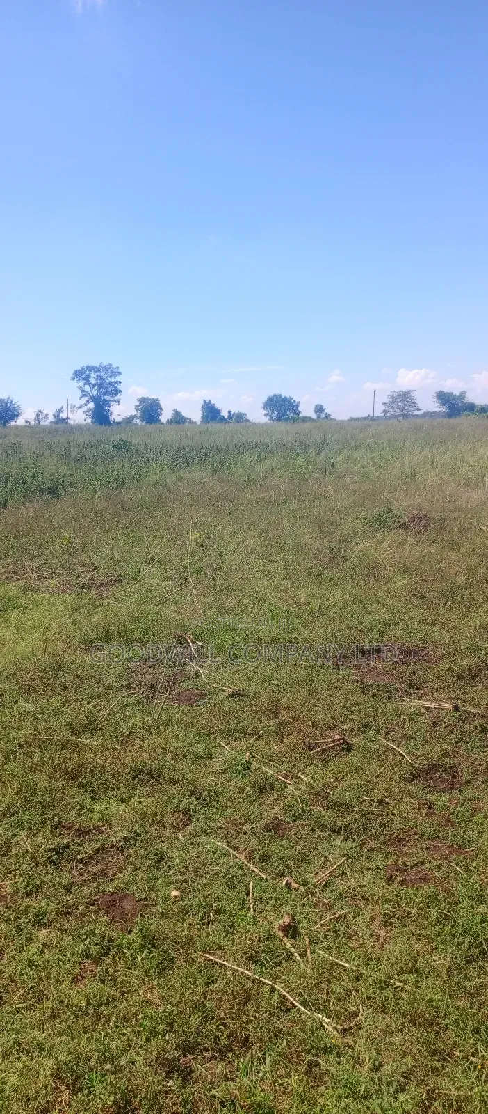 68 Acres of Land in Kiziri After Gayaza