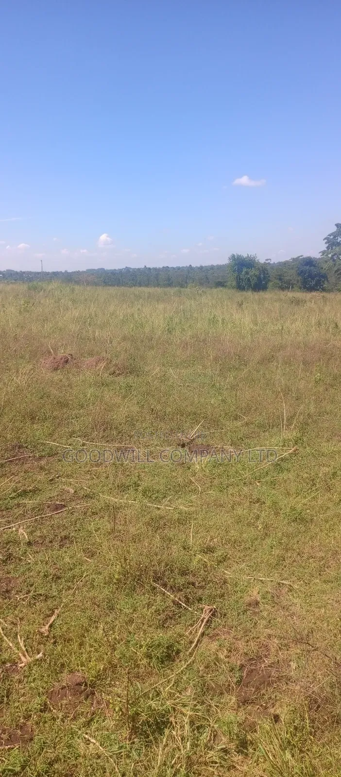 68 Acres of Land in Kiziri After Gayaza