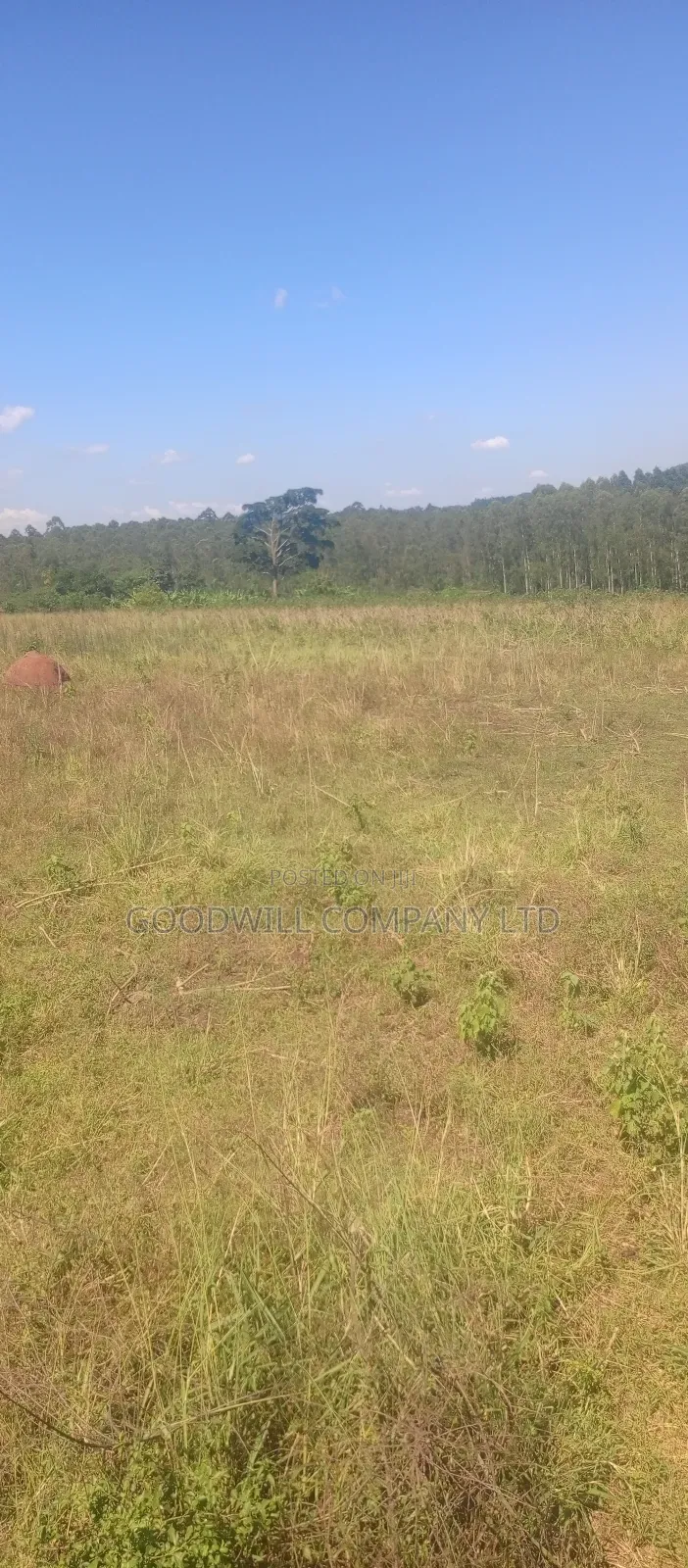 68 Acres of Land in Kiziri After Gayaza