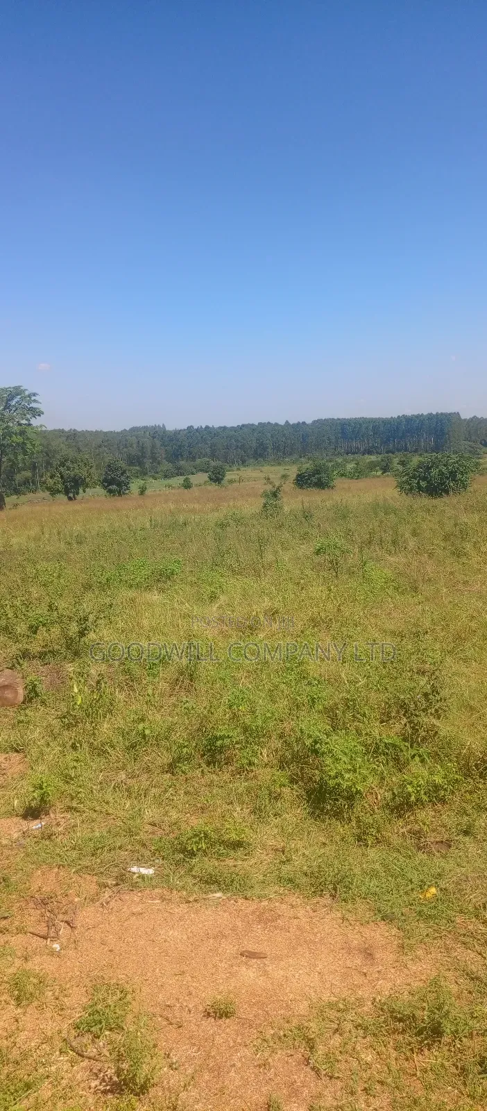 68 Acres of Land in Kiziri After Gayaza