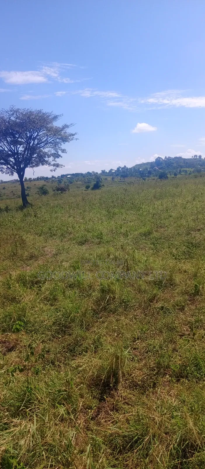 68 Acres of Land in Kiziri After Gayaza