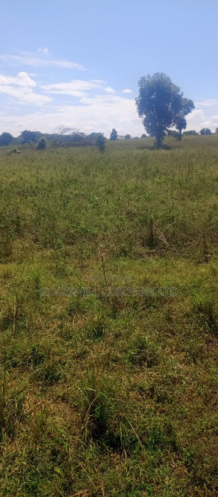 68 Acres of Land in Kiziri After Gayaza