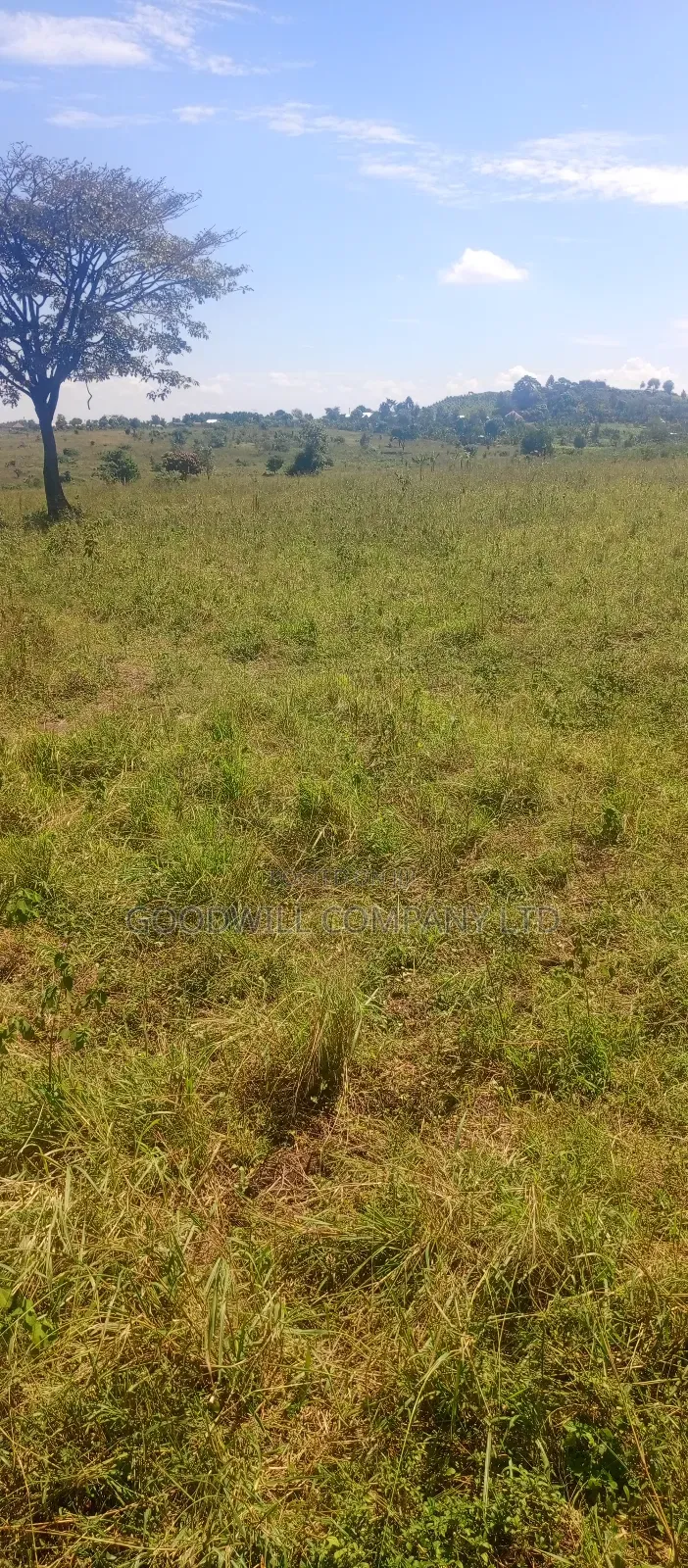 68 Acres of Land in Kiziri After Gayaza