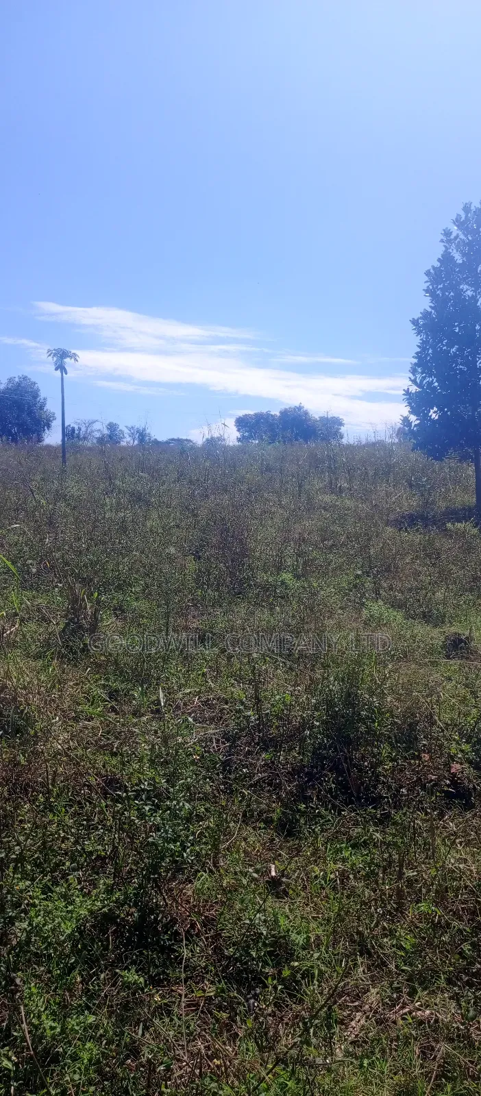 168 Acres of Land in Bugema Behind Bugema University