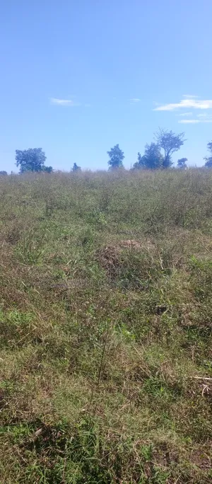 168 Acres of Land in Bugema Behind Bugema University