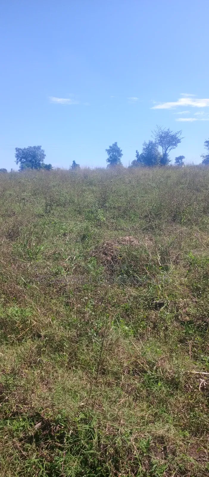 168 Acres of Land in Bugema Behind Bugema University