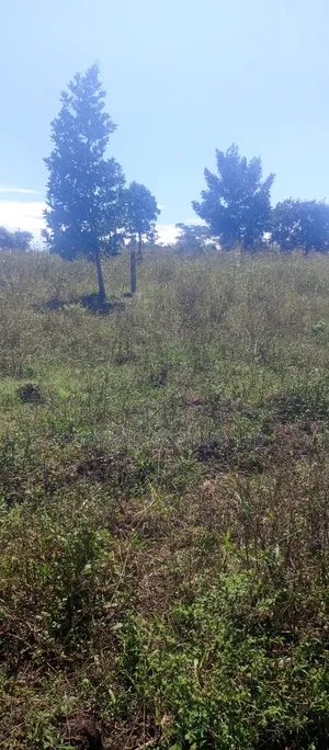 168 Acres of Land in Bugema Behind Bugema University
