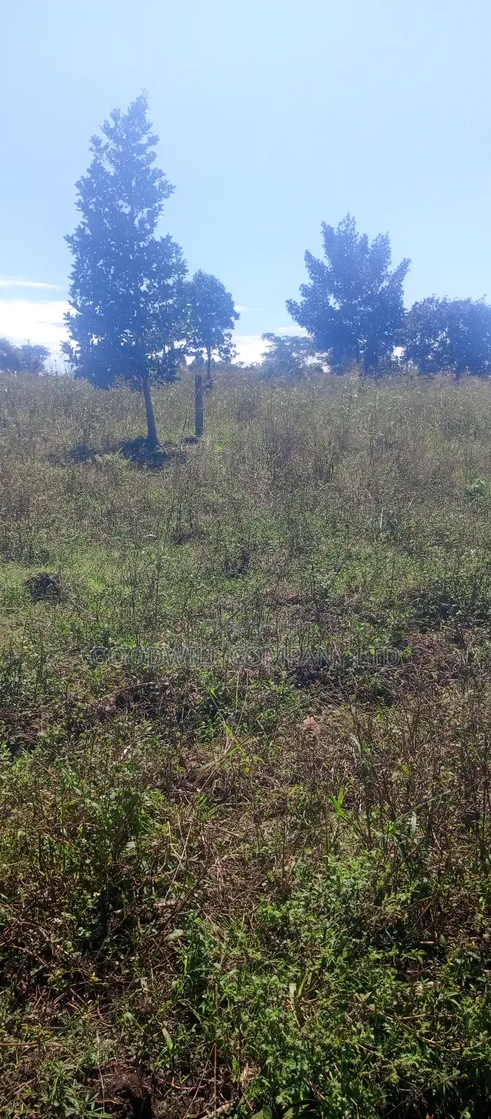 168 Acres of Land in Bugema Behind Bugema University
