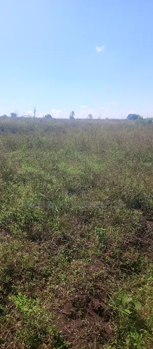 168 Acres of Land in Bugema Behind Bugema University