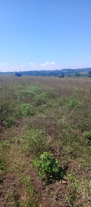 168 Acres of Land in Bugema Behind Bugema University