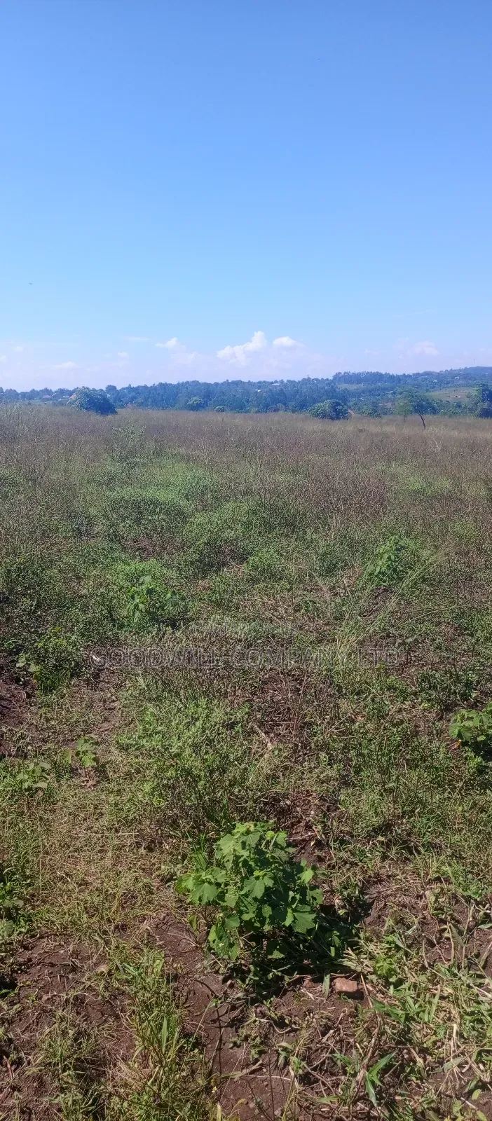 168 Acres of Land in Bugema Behind Bugema University