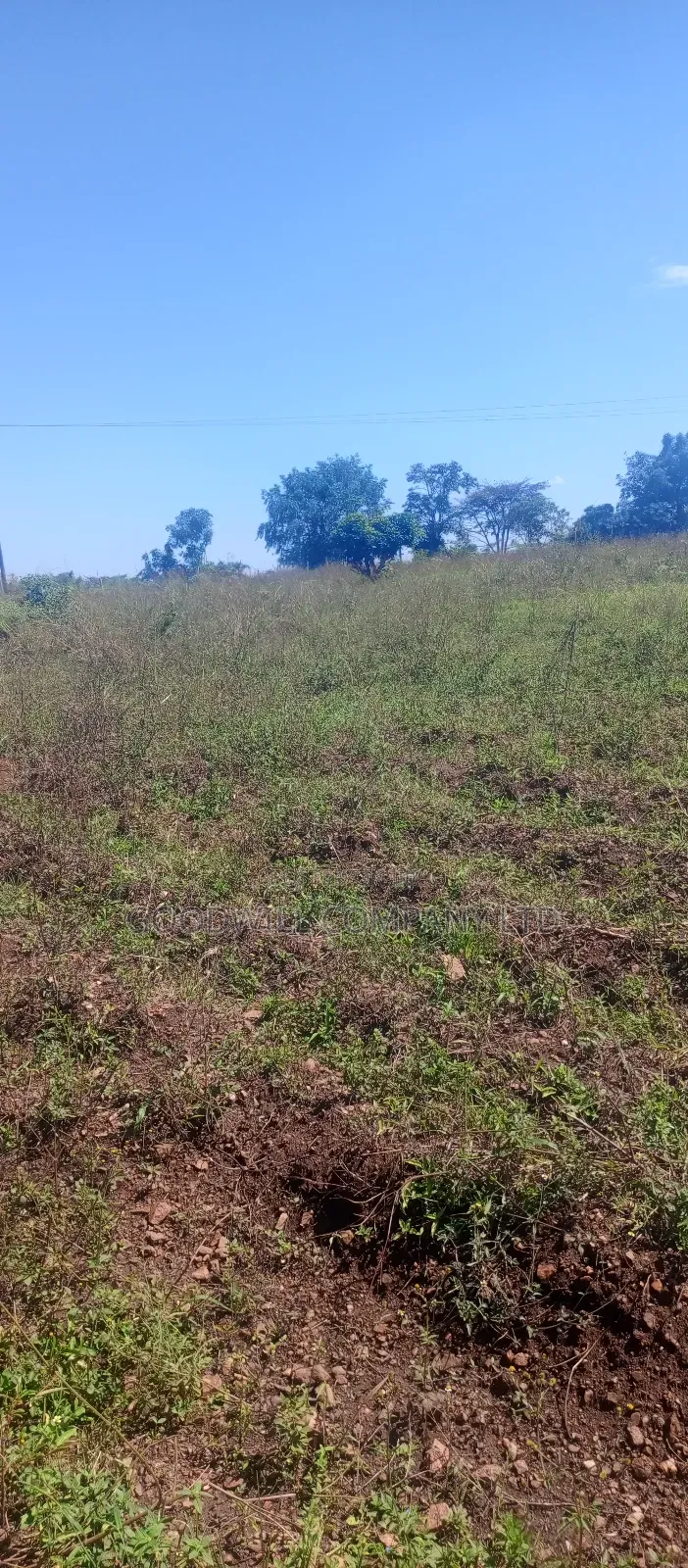 168 Acres of Land in Bugema Behind Bugema University