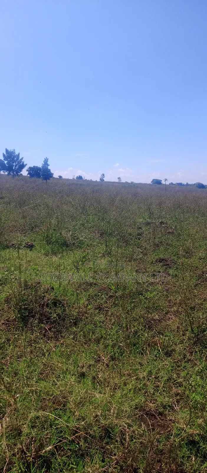 168 Acres of Land in Bugema Behind Bugema University
