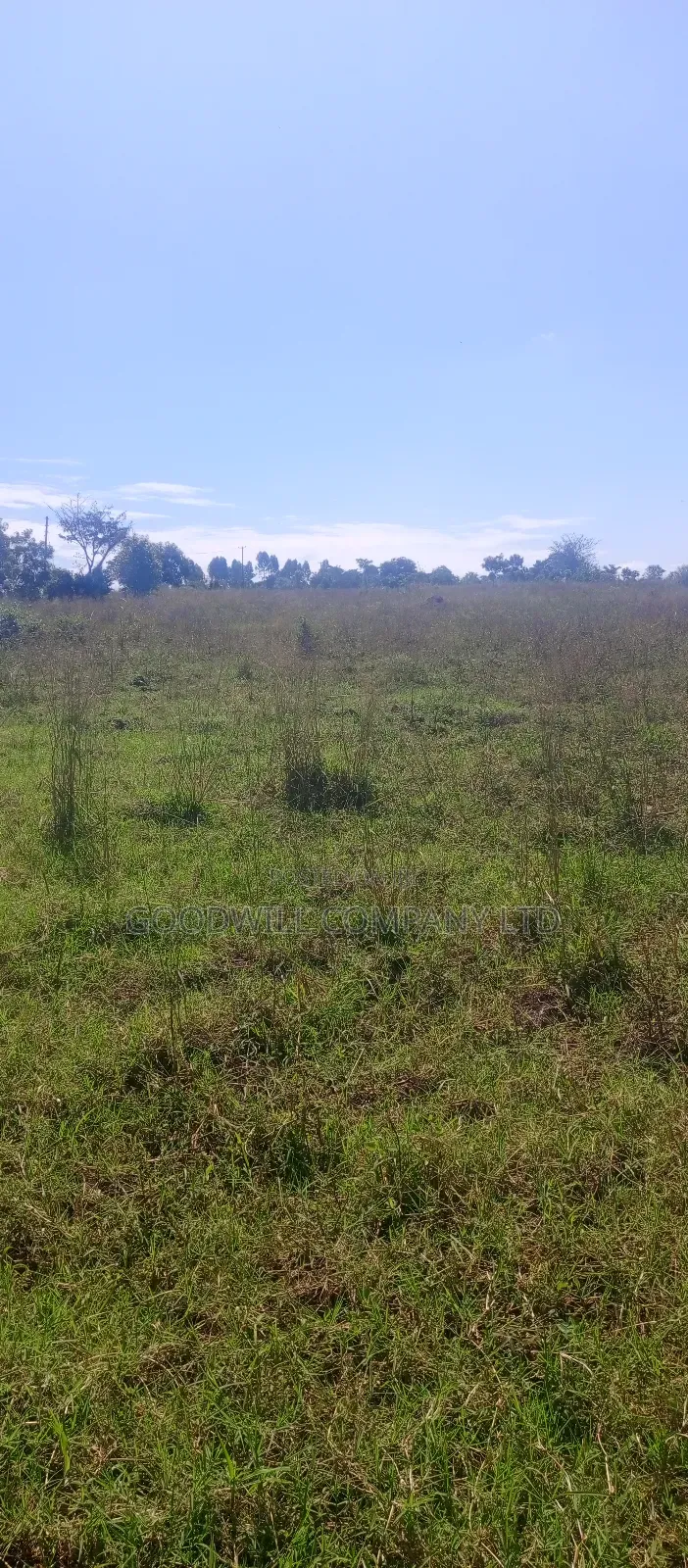 168 Acres of Land in Bugema Behind Bugema University