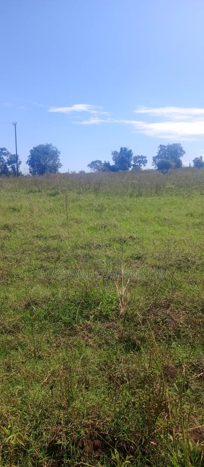 168 Acres of Land in Bugema Behind Bugema University