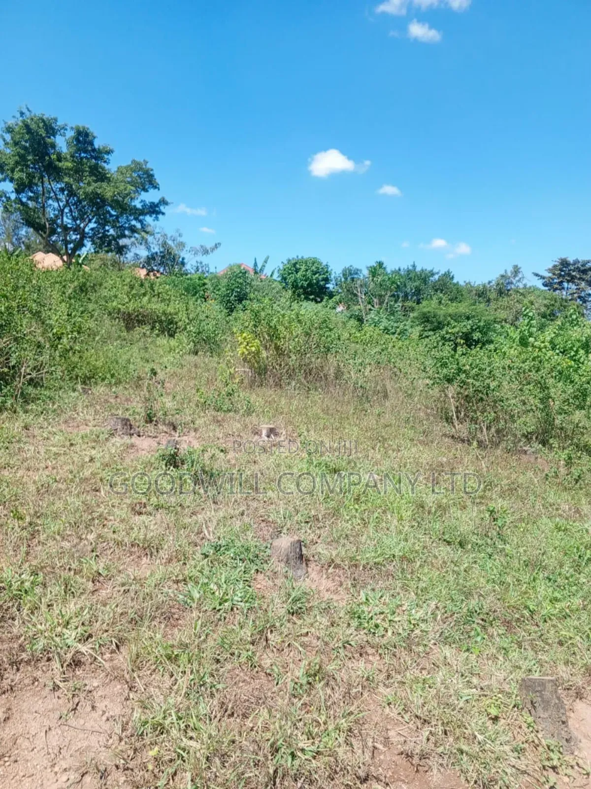 4.95 Acres of Land in Kiwenda Kiziri Touching Feeder Road