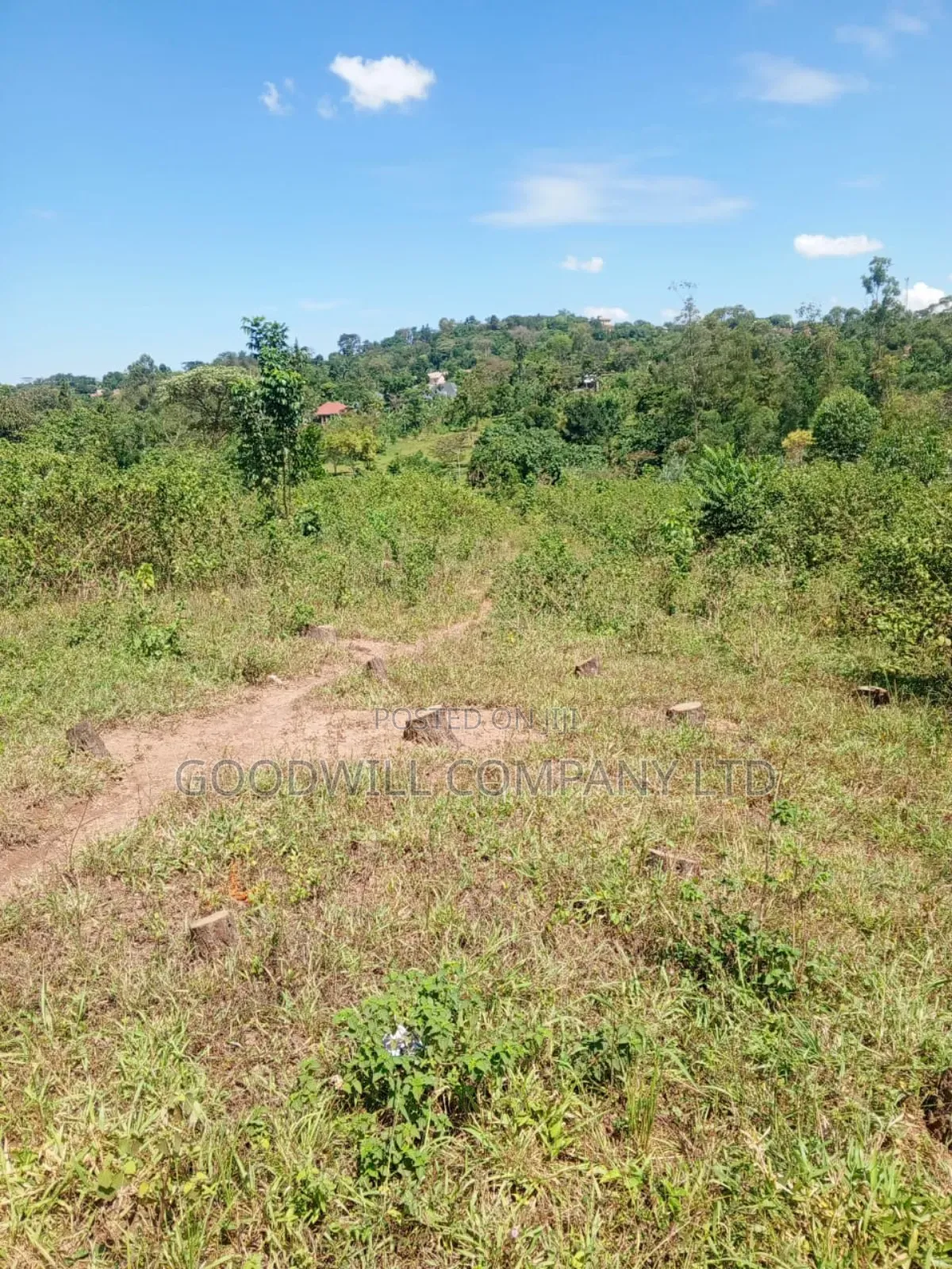 4.95 Acres of Land in Kiwenda Kiziri Touching Feeder Road