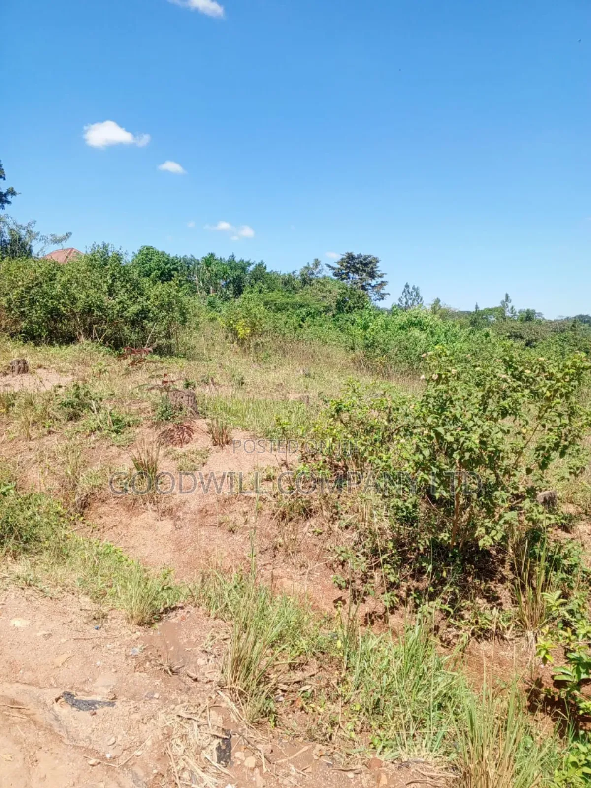 4.95 Acres of Land in Kiwenda Kiziri Touching Feeder Road