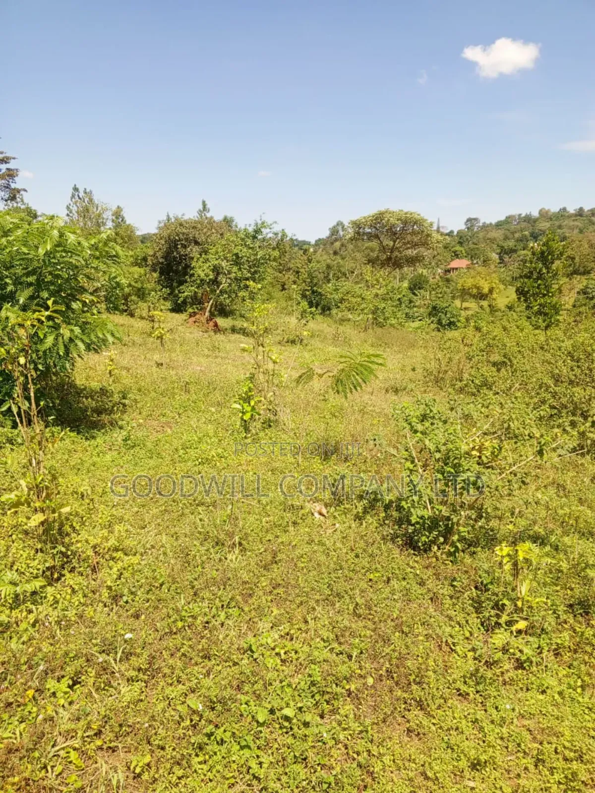 4.95 Acres of Land in Kiwenda Kiziri Touching Feeder Road