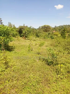 4.95 Acres of Land in Kiwenda Kiziri Touching Feeder Road