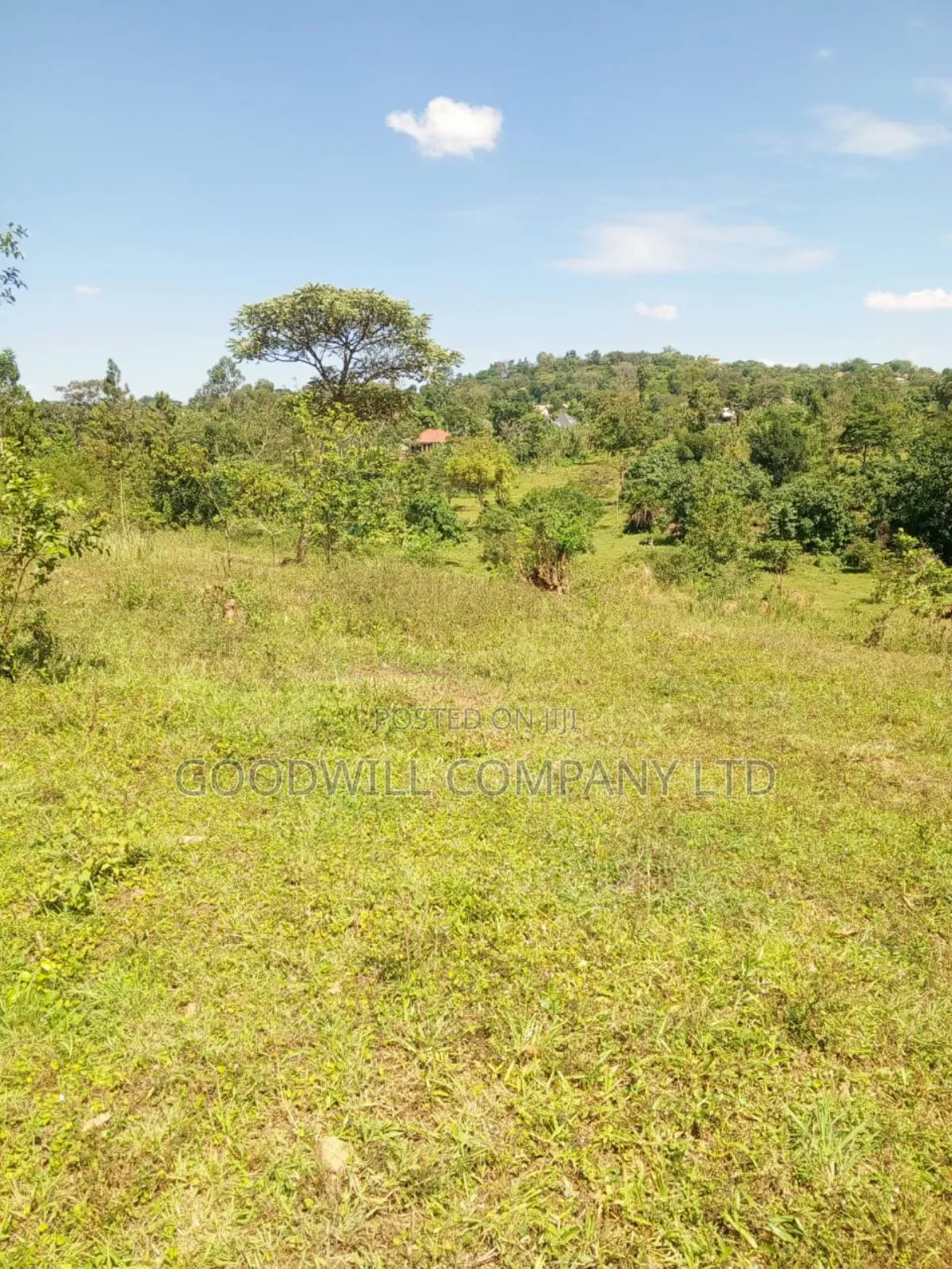 4.95 Acres of Land in Kiwenda Kiziri Touching Feeder Road