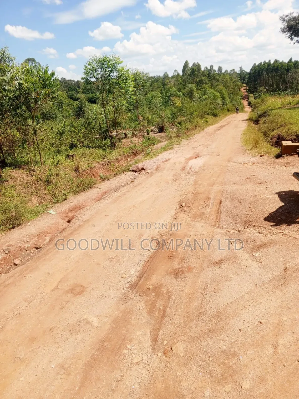 4.95 Acres of Land in Kiwenda Kiziri Touching Feeder Road