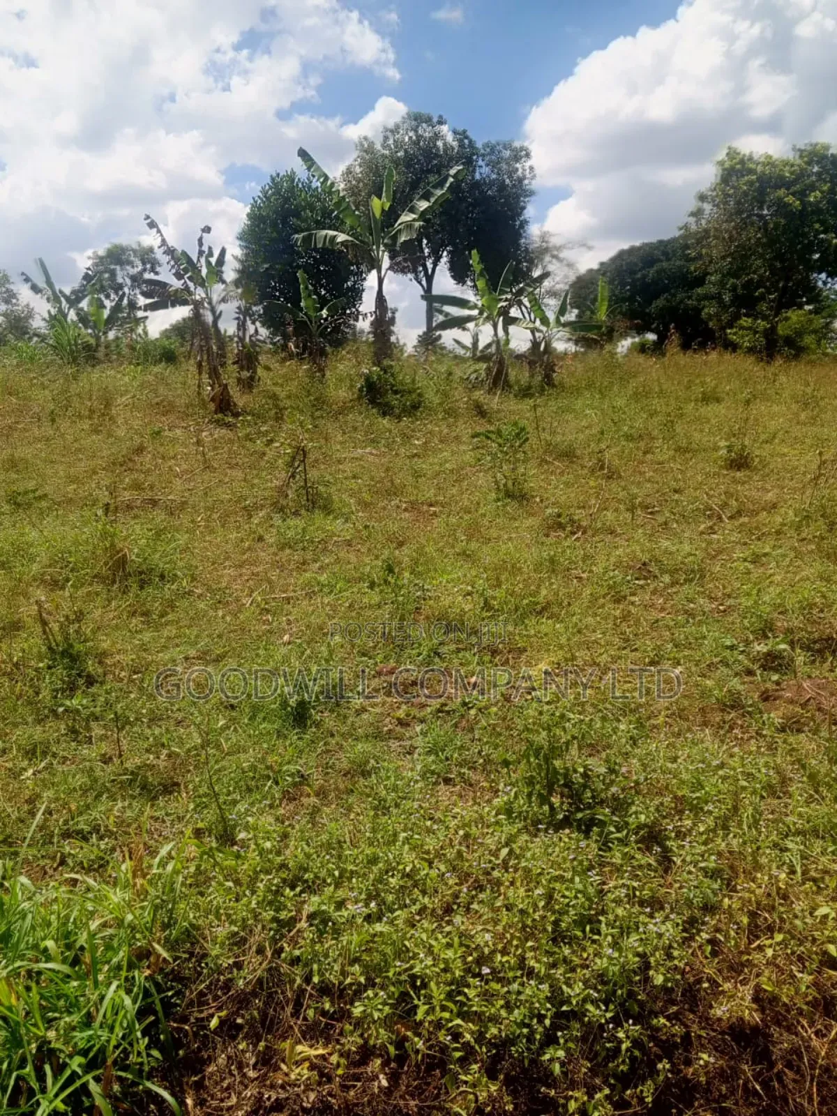 1.35 Acres of Land in Kiziri Kiwenda Gayaza Road