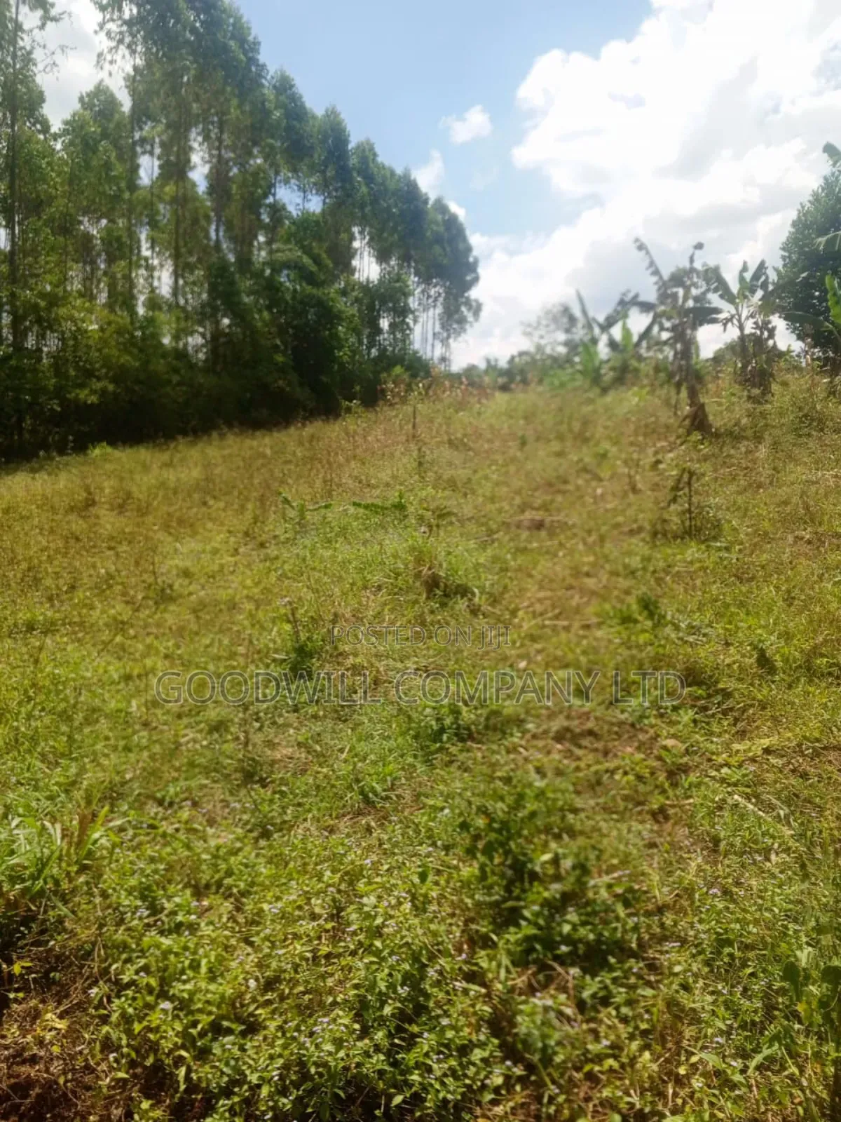 1.35 Acres of Land in Kiziri Kiwenda Gayaza Road