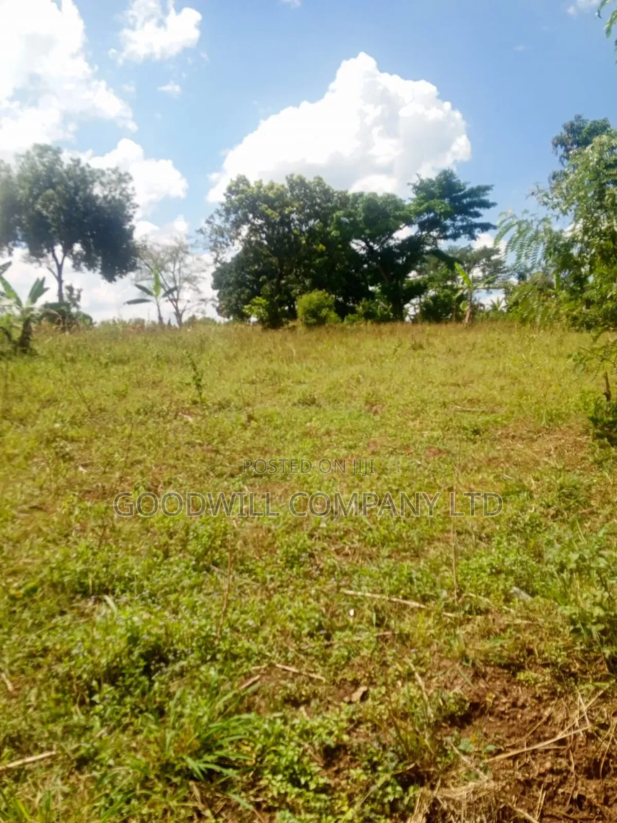 1.35 Acres of Land in Kiziri Kiwenda Gayaza Road