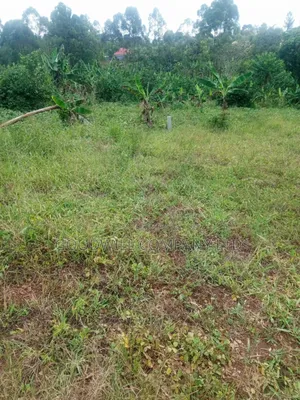 1.5 Acres of Land in Kiwenda Behind the Town