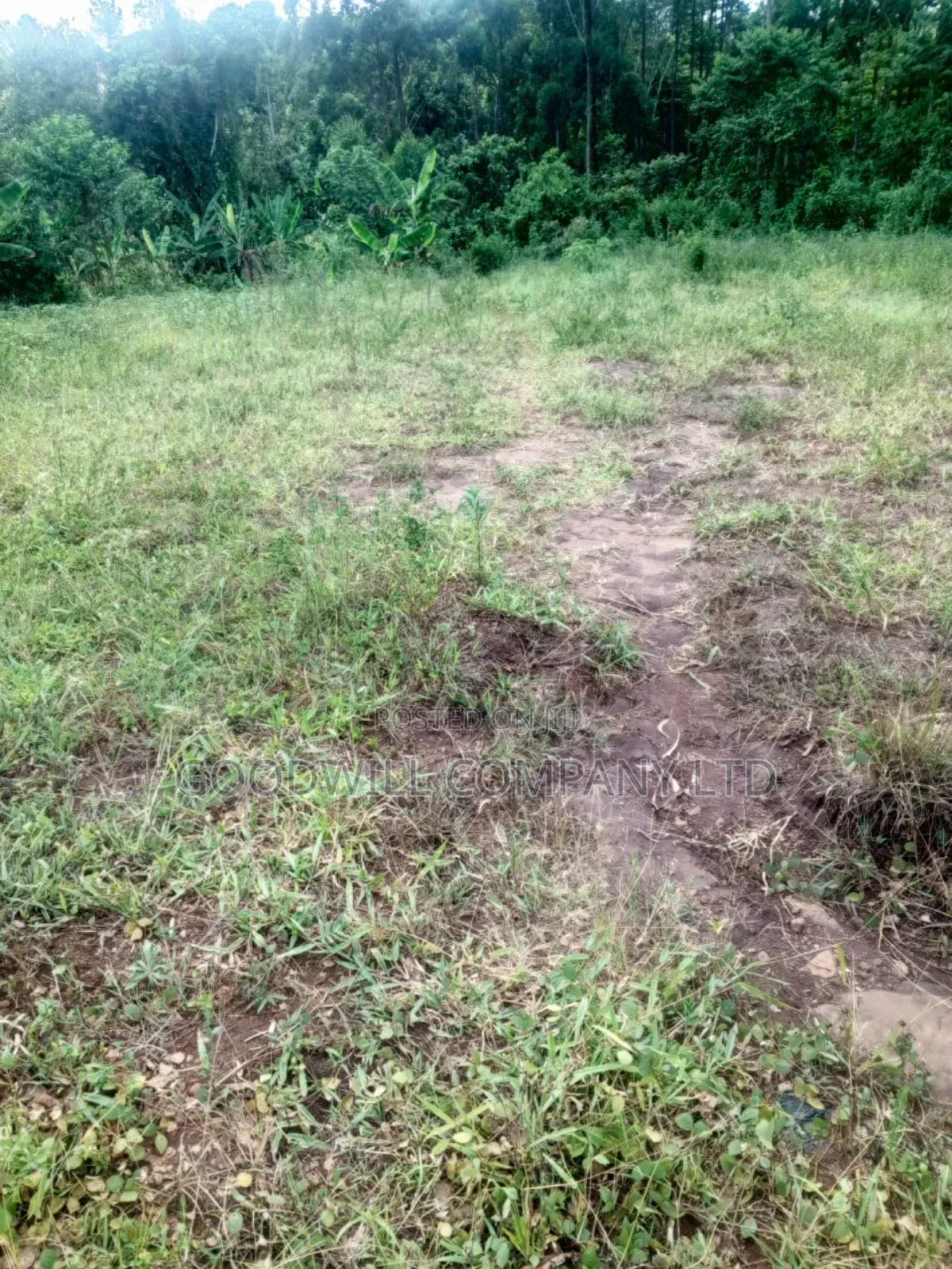 1.5 Acres of Land in Kiwenda Behind the Town
