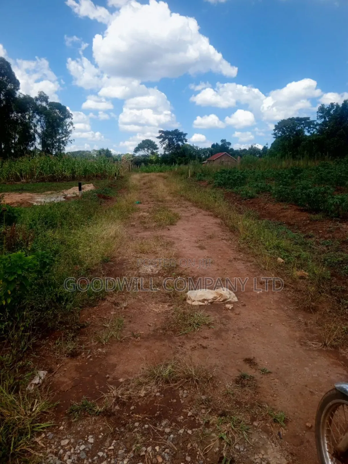 1.5 Acres of Land in Kiwenda Behind the Town